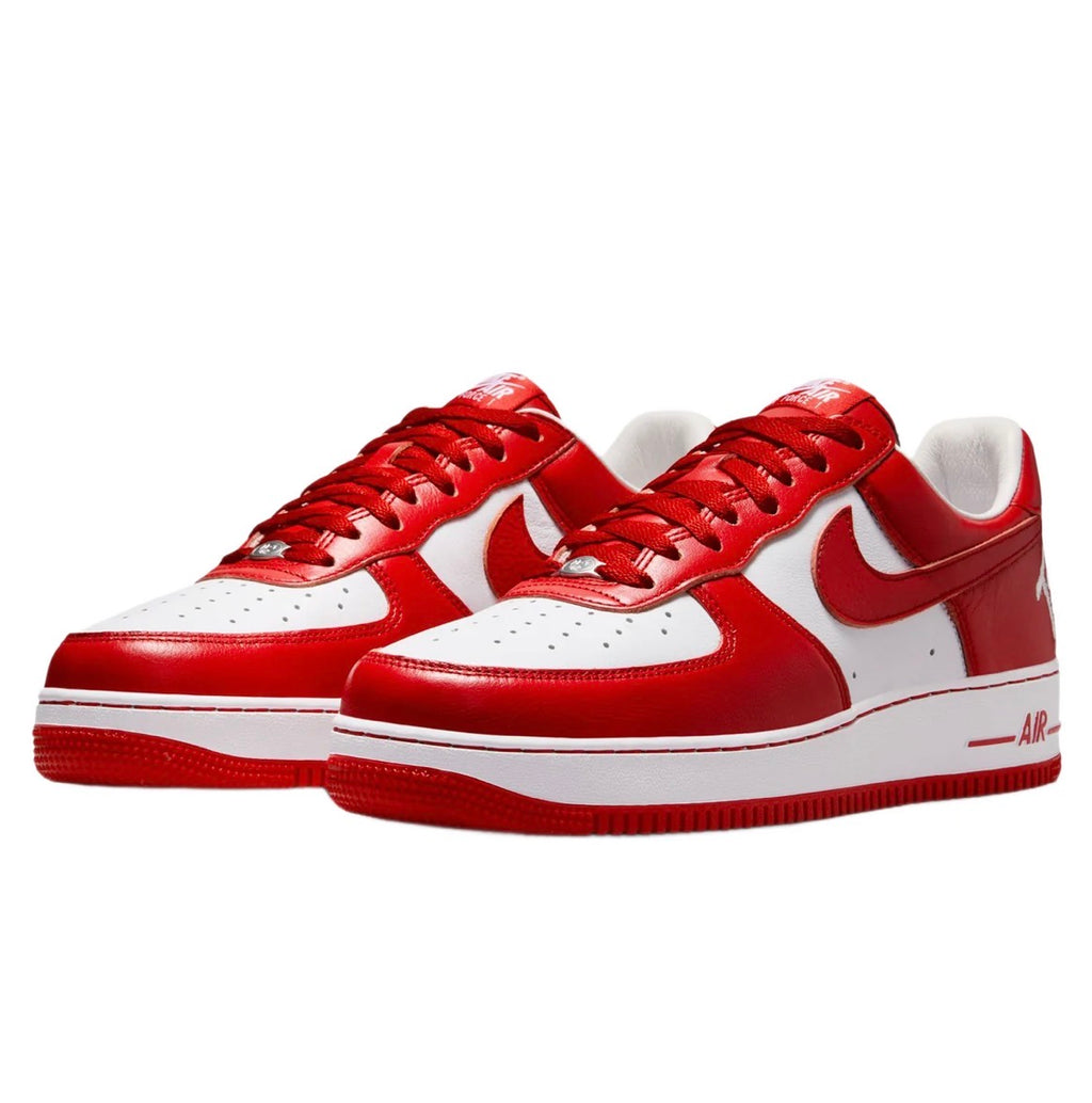 Air Force 1 Low X Terror Squad
